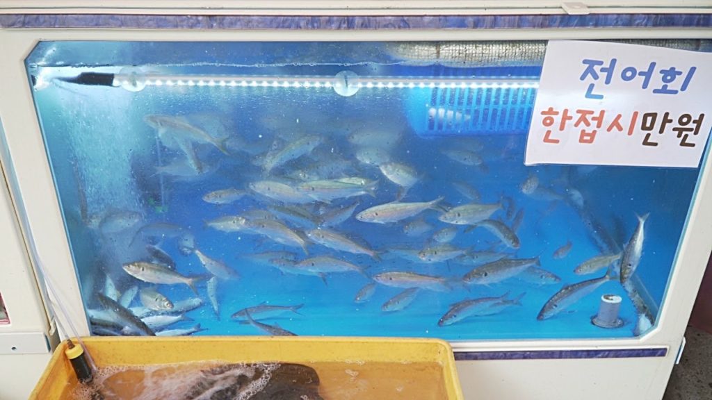 Korean Street Food - Cutting Live Gizzard Shad | Must Try Sashimi in Jeju Island