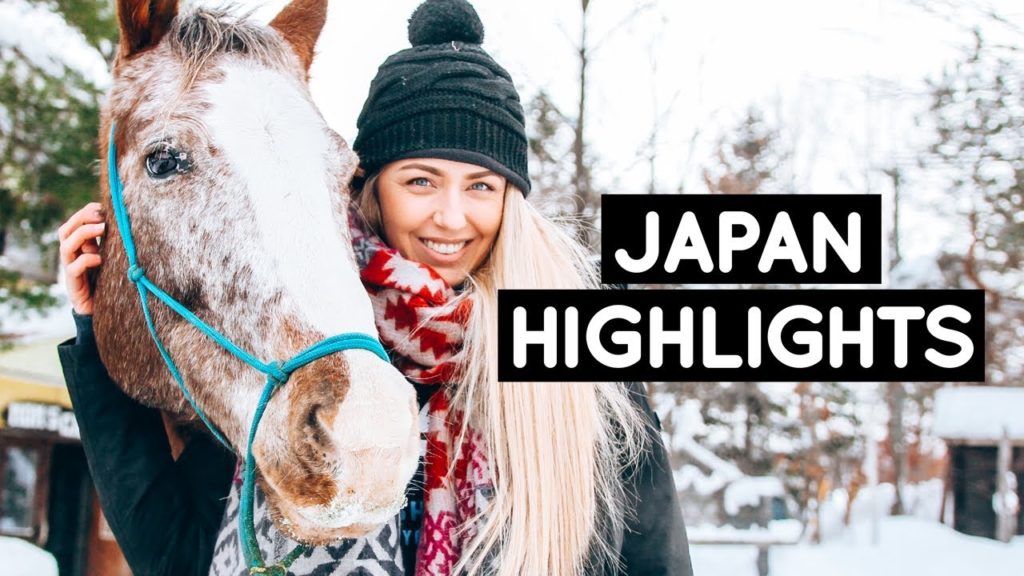 6 of our Favourite JAPAN Destinations... so far | Little Grey Box
