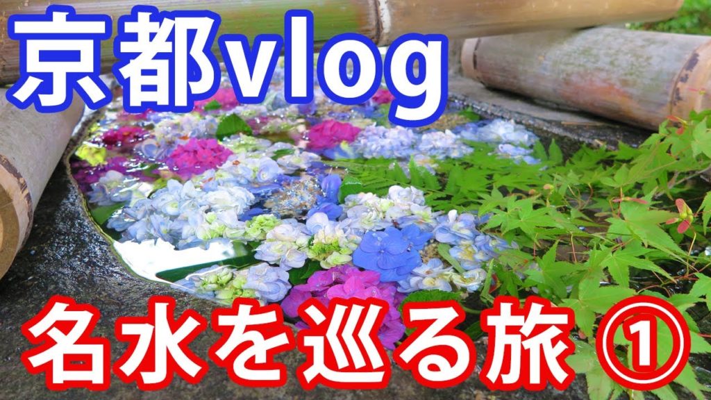 【京都 vlog】アラサー男の休日　京都名水を巡る旅 ①【KYOTO Travel Vlog】