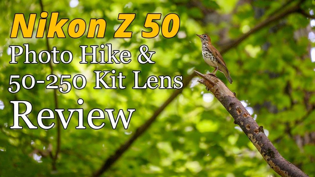 Nikon Z50 • Photo Hike & 50-250 Lens Review