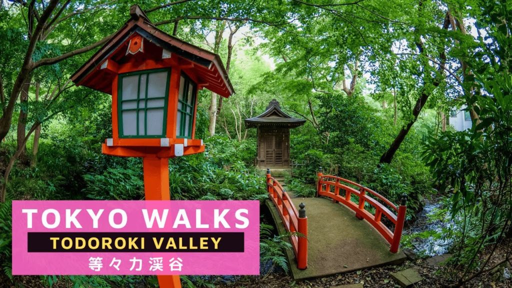 Tokyo's Urban Oasis - Todoroki Valley - 等々力渓谷東京 - Japan Walks 2020 - 4K ASMR