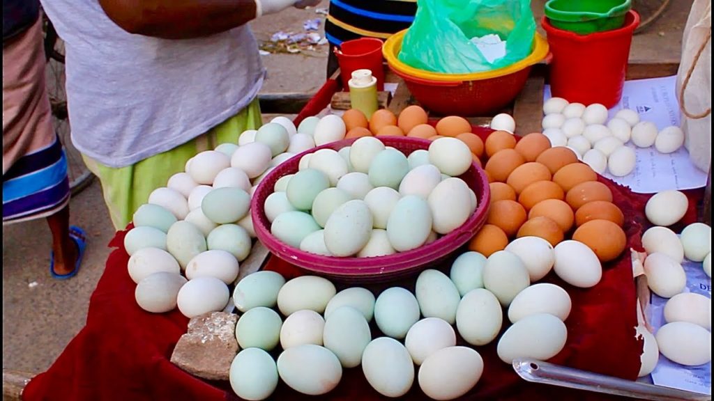 UNIQUE Foods around the World - Best street food / food compilation / TOP food near me / Part - 940