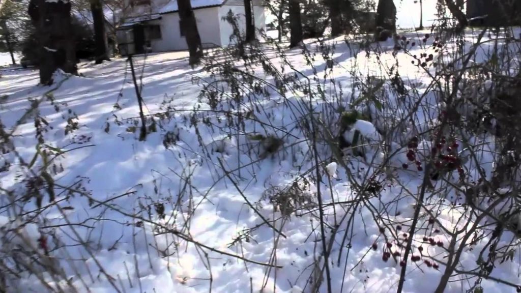 FLANKEE IN JAPAN: On a farm in Hakodate(函館)with Hippy and Happy! FLANKEE IN JAPAN: On a farm in Hakodate(函館)with Hippy and Happy!