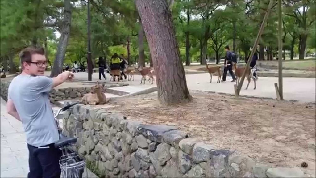 Family trip to Japan