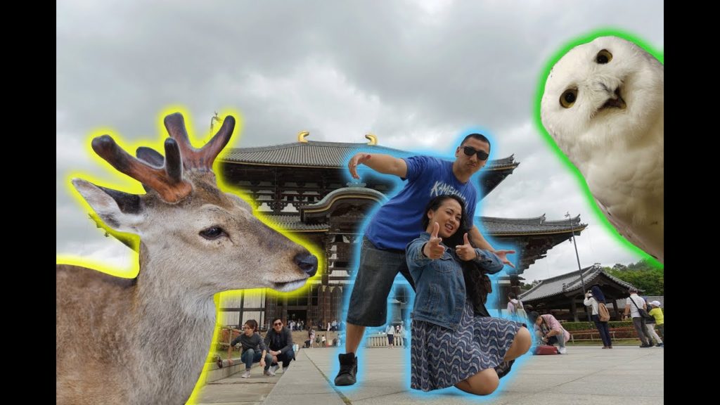 We took a day trip from Osaka to Nara!