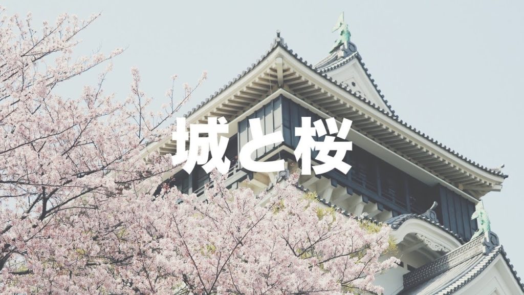 Cherry blossom viewing in Kitakyushu? That's Kokura Castle for sure.  ☆ 桜といえばお城でしょ！