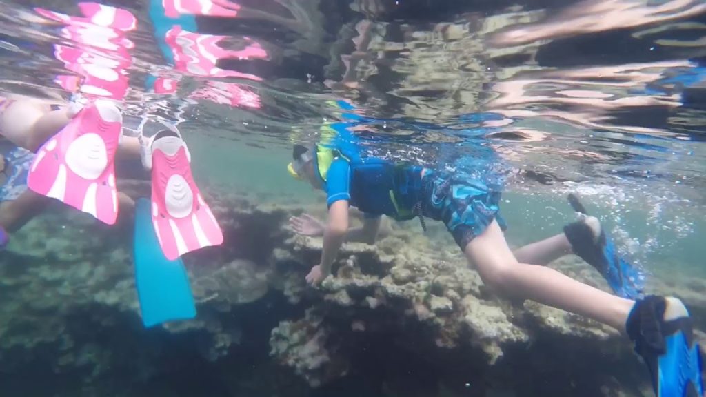 Snorkeling in Ishigaki Island - Okinawa, Japan (kids snorkeling to see coral reefs!)