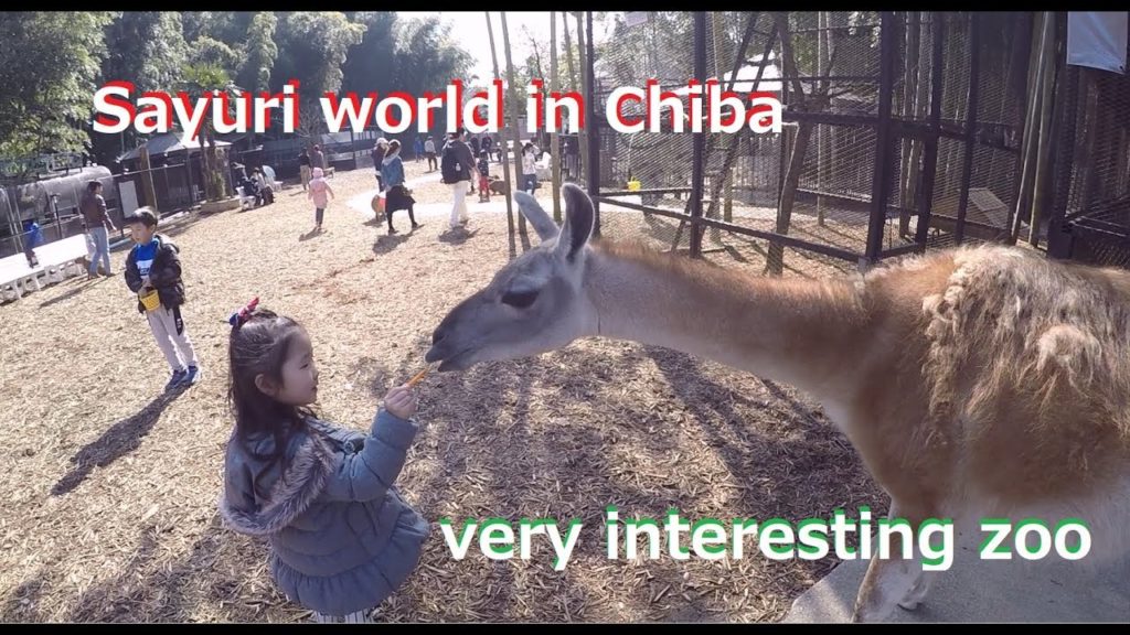 go to interesting zoo "Sayuri world" in Chiba. go to interesting zoo "Sayuri world" in Chiba.