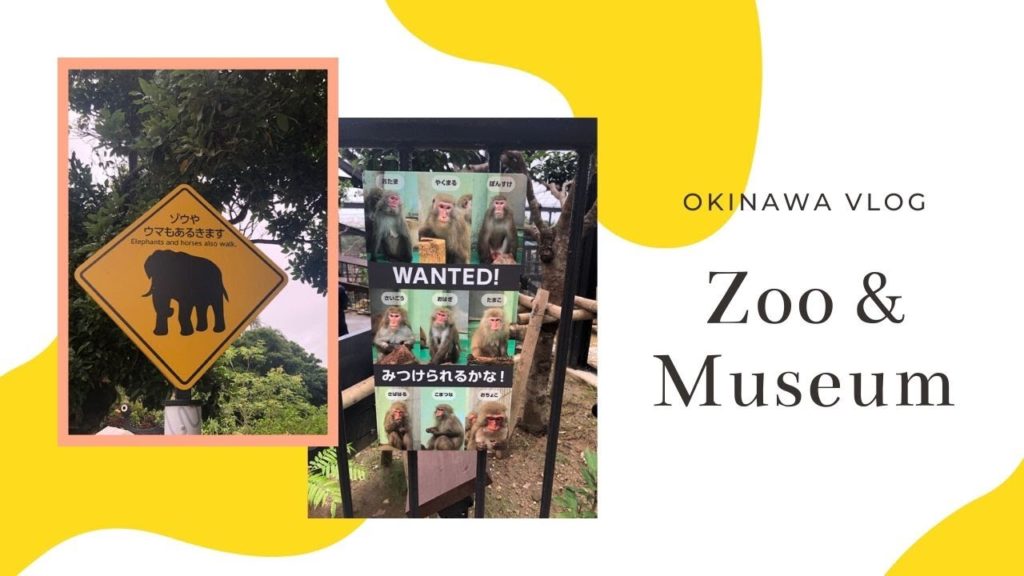 Okinawa I Things to do I Zoo and Museum I Family Fun