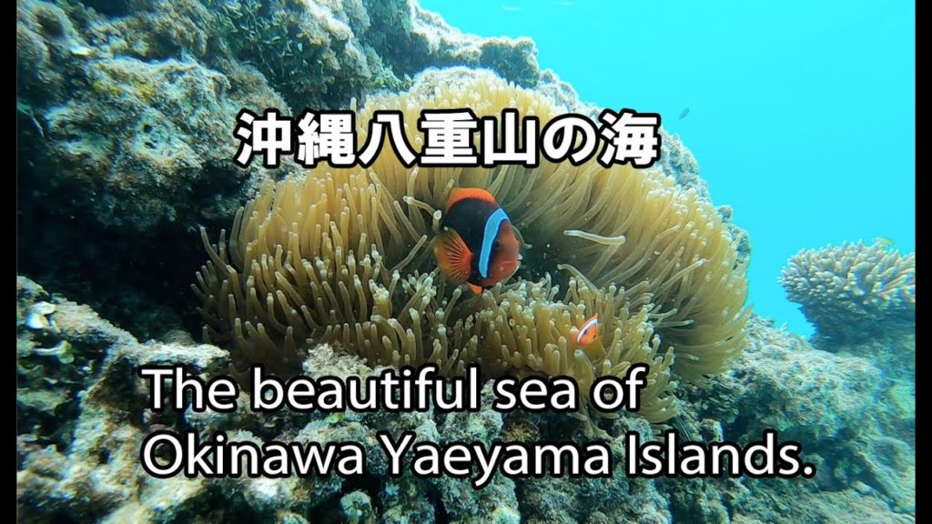 2020年6月 八重山の海 The beautiful sea of​​ Okinawa Yaeyama Islands.