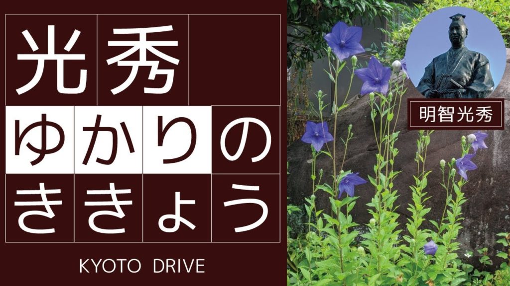 【KYOTO DRIVE】明智光秀大河ドラマ館～湯の花温泉～ききょうの里まで