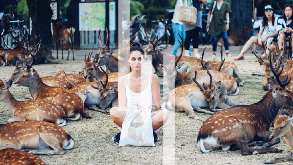 BACKANDPACK.FR - Japon - OSAKA + NARA