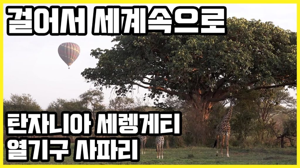 걸어서 세계속으로_탄자니아 세렝게티 열기구 사파리