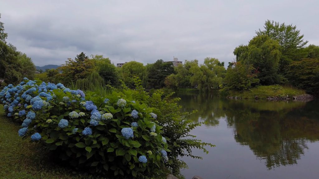 4K Walk in Sapporo Chuo-ku Nakajima park 札幌市 中央区 中島公園 Binaural ASMR