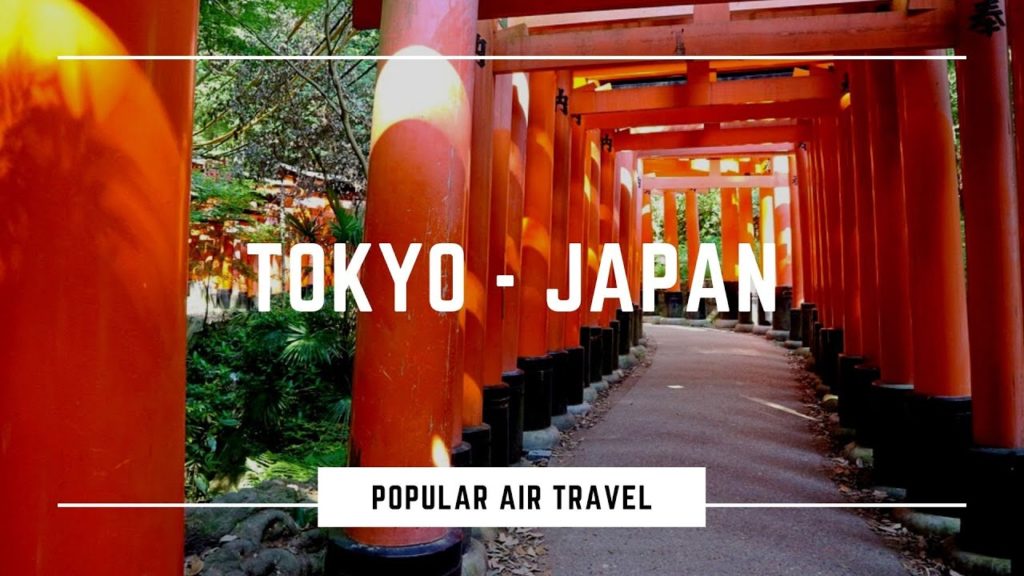 TOKYO city. Japan. The largest metropolis in all of Asia.