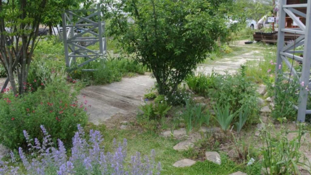 A tour of my friends Open Garden