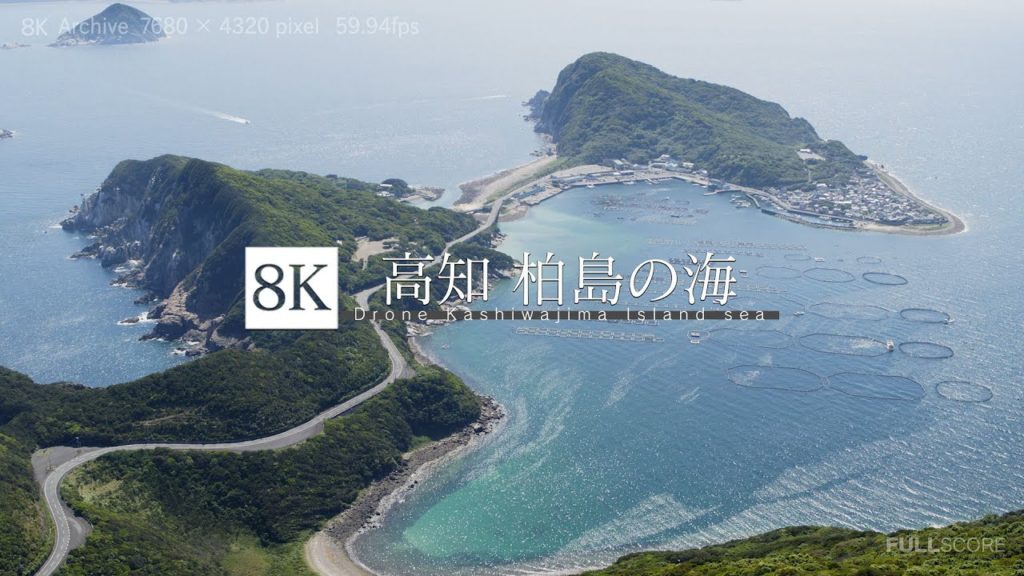 [8K footage] Niigata Bijinbayashi Forest【高知 柏島 最高の海_8K】