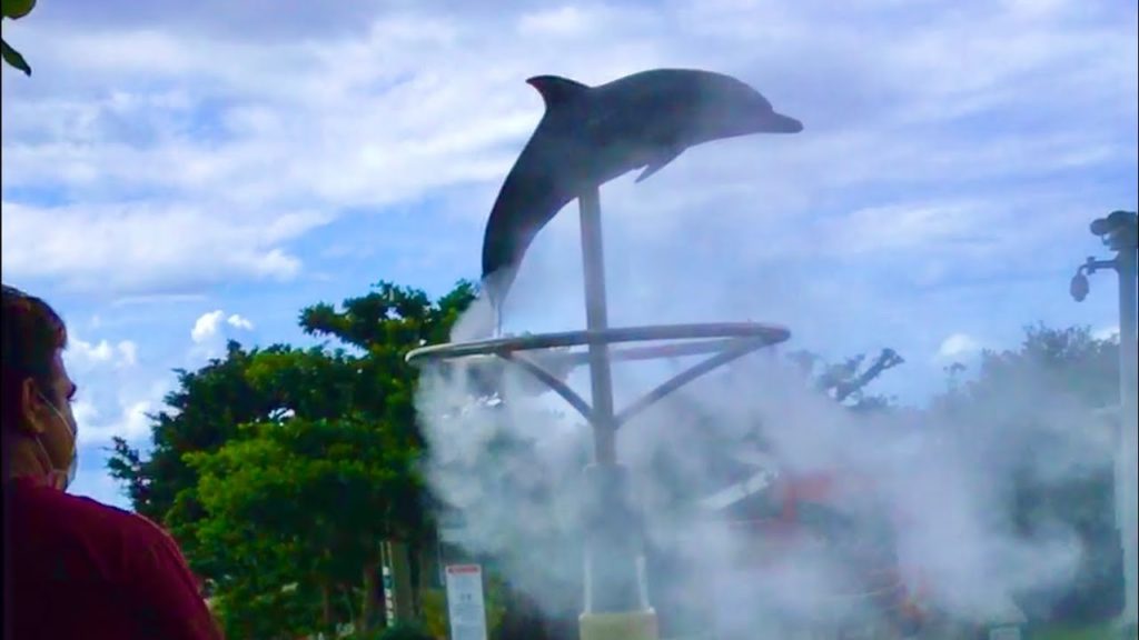 Nago / Churaumi Aquarium Okinawa /  World’s second largest Aquarium / Japan