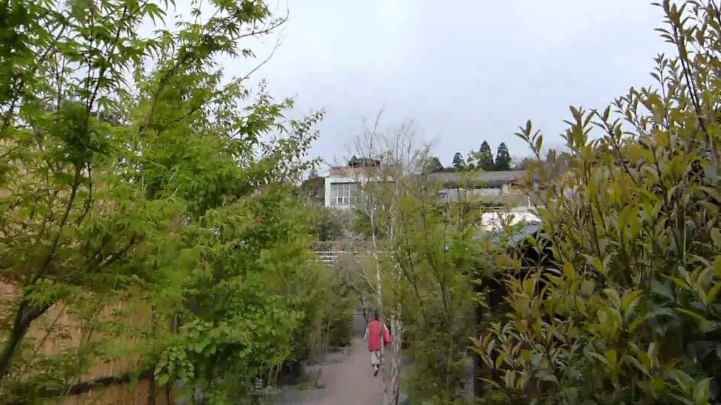 Beppu Japan Land of the Onsens
