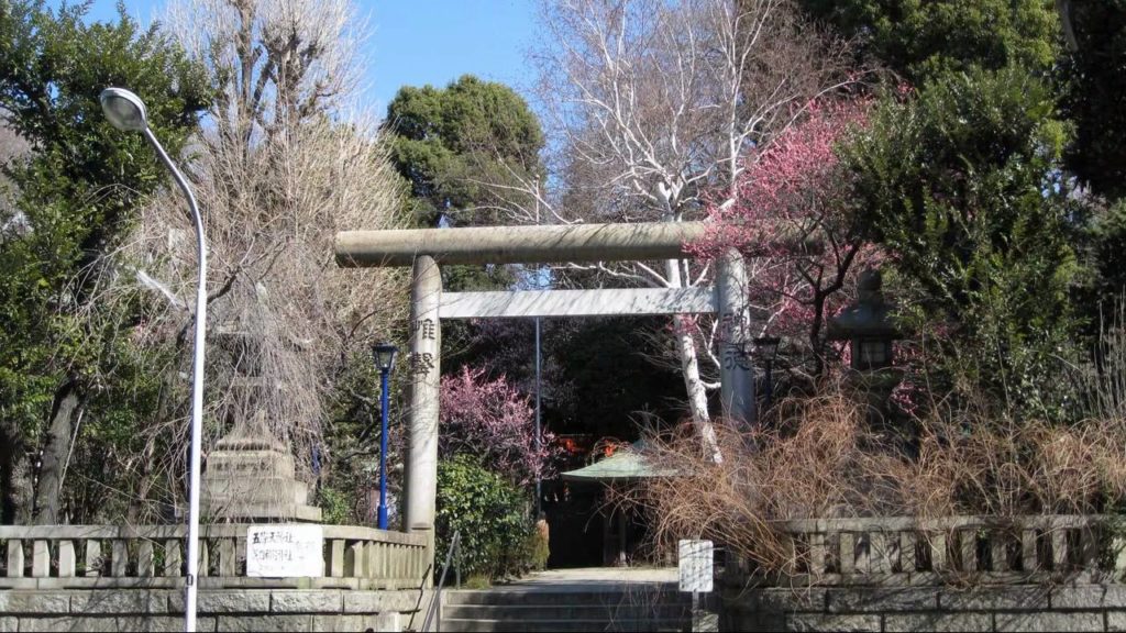 10 Days in Tokyo - Pictures (HD)