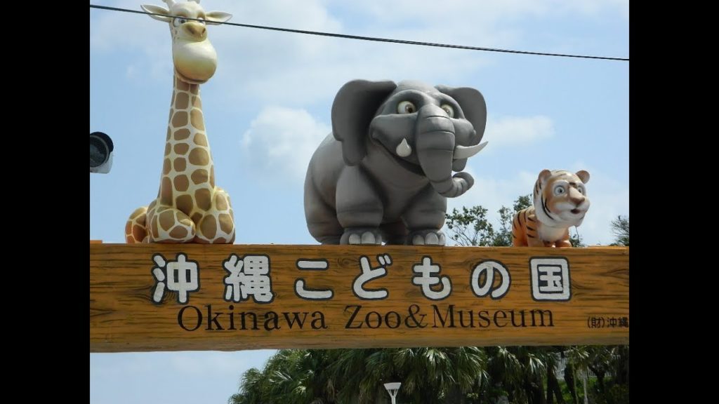 Okinawa Zoo & Museum (aka the Koza Zoo) March 13, 2014