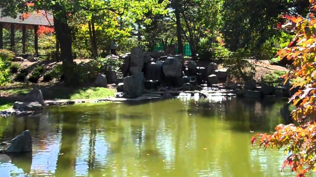 Osaka Gardens:  Chicago's hidden jem