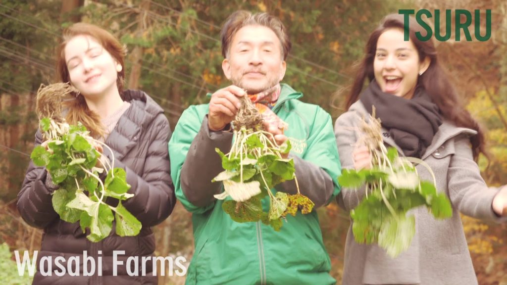 TOKYO WESTSIDE ―Treasures at every turn! ―