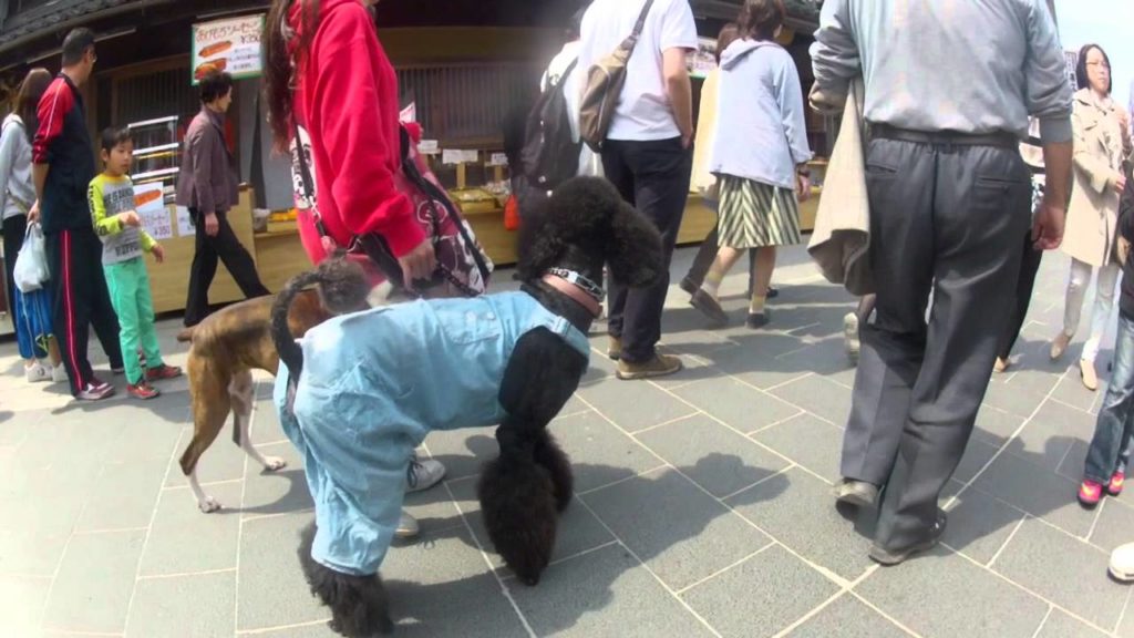 Voyage Japon 2014 - Tokyo, Osaka, Hiroshima...