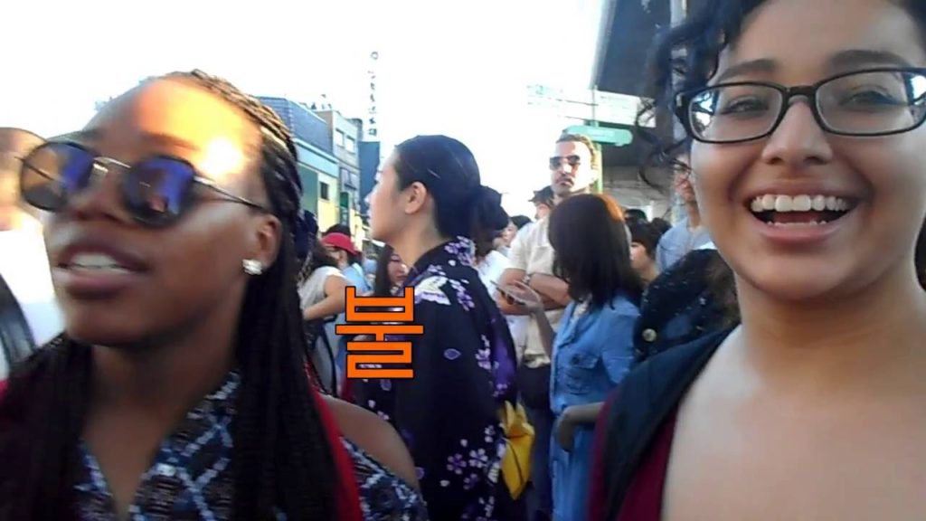 Tokyo Summer Vacationㅣ Sumida Fireworks