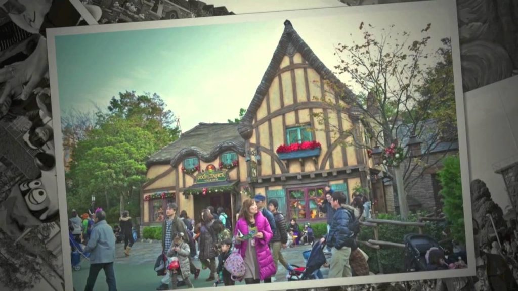 Tokyo Disneyland Vacation