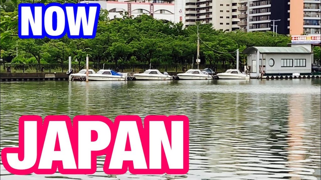 【Riverside and cicada voice】Thursday july 2020 「osaka morning 228 JAPAN」 Now in OSAKA、virtual trip