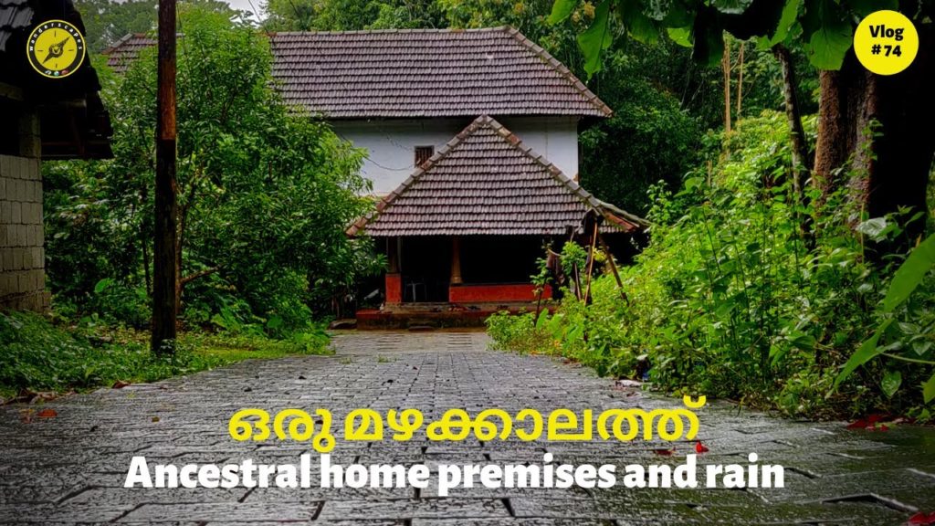 Nostalgic ancestral home premises and rain|| ഗൃഹാതുരതയുണർത്തുന്ന തറവാട് പരിസരങ്ങളും മഴയും|| Vlog#74