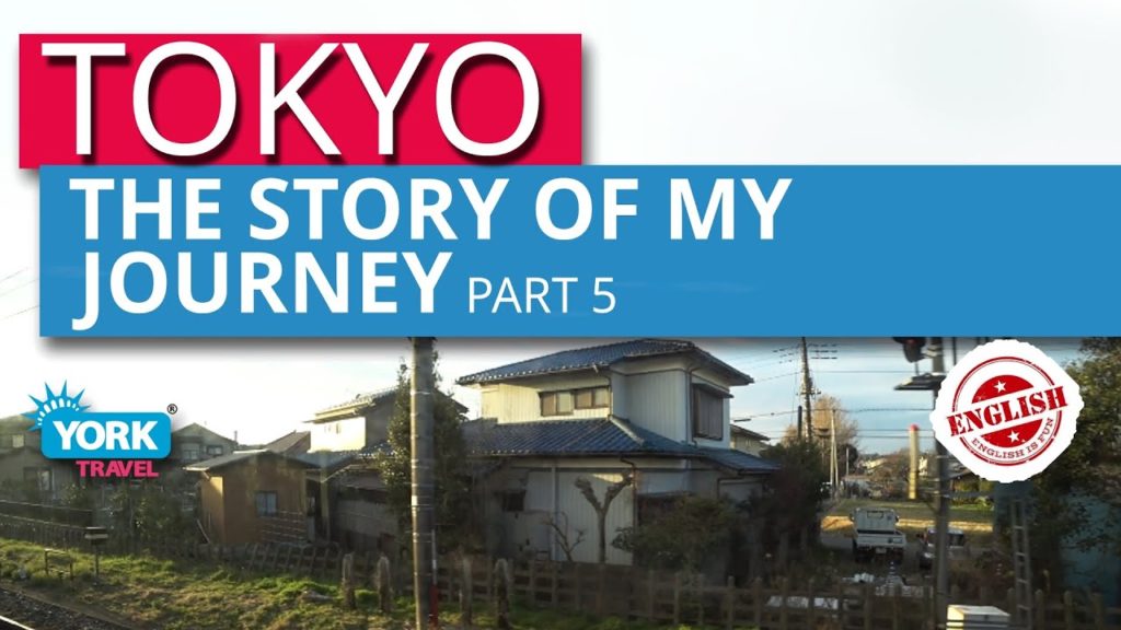 Japan travel vlog. The story of my journey to Tokyo. Part 5. Food, drink, people. Japan travel vlog. The story of my journey to Tokyo. Part 5. Food, drink, people.