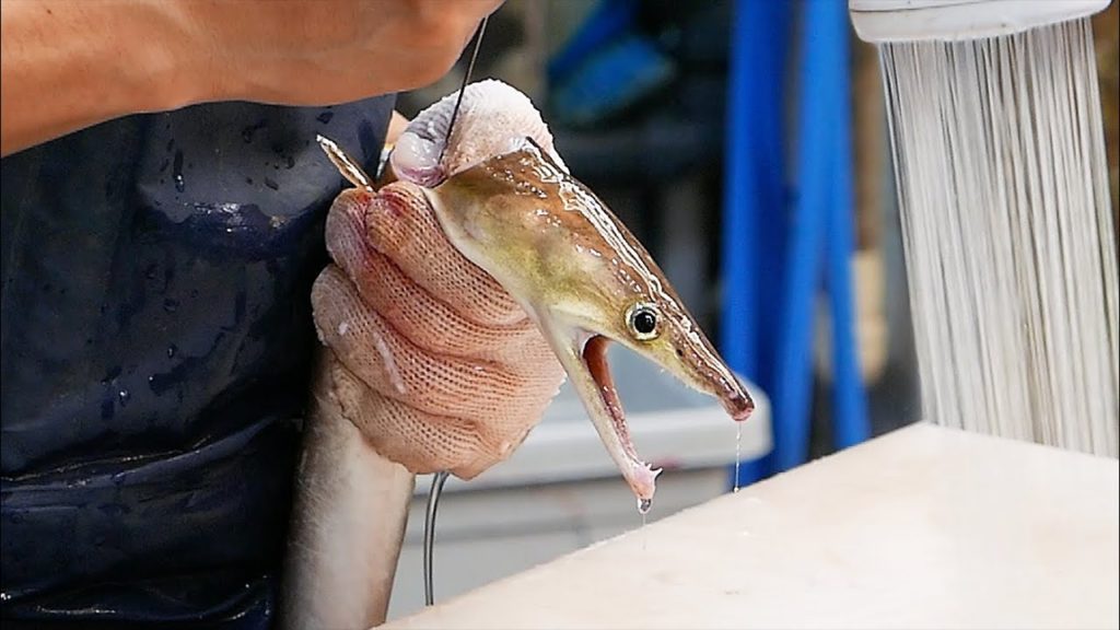 Japanese Street Food - GRILLED EEL Egg Roll Osaka Seafood Japan