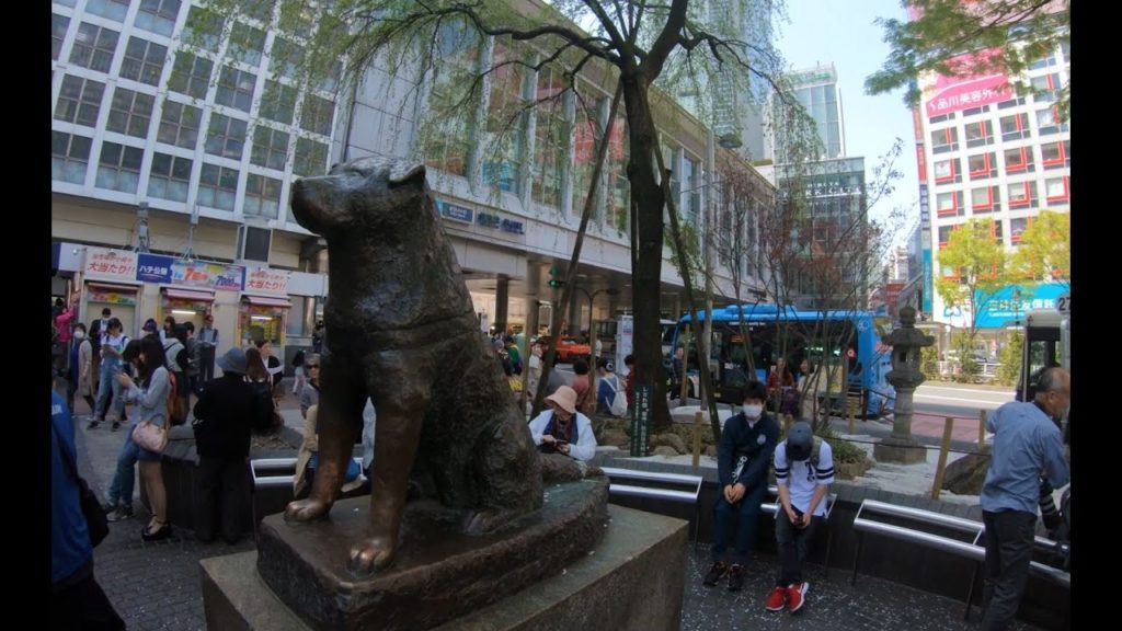 Japan: Spring 2018 Day 8 Western Tokyo