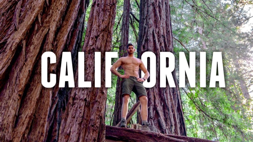 California Road Trip TRAVEL GUIDE | REDWOOD FOREST