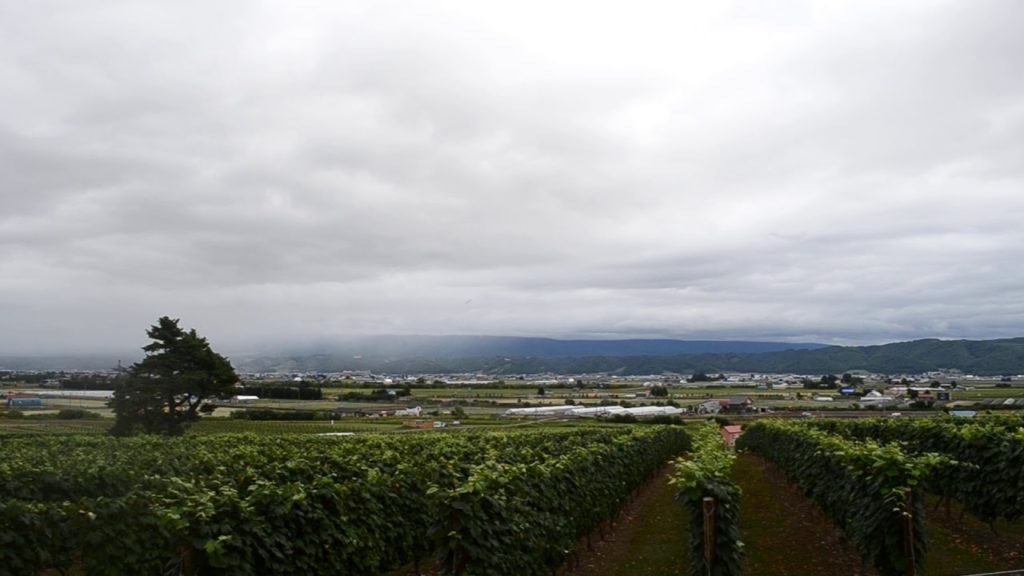 View of the Daisetsuzan mountains at Campana Rokkatei, Furano, Hokkaido, Japan with a paraglider!