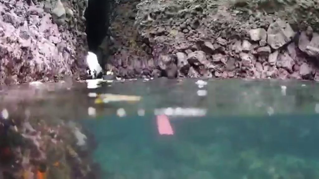 ヒリゾ浜スキンダイビング♪　～総集編～  The skin diving at Hirizo beach.