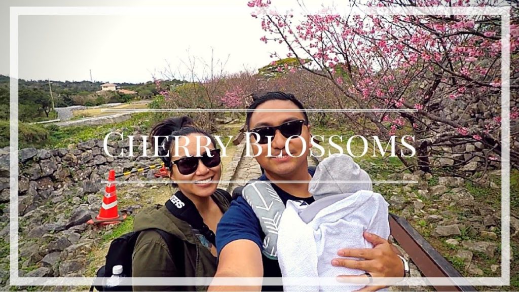 Cherry Blossom Festival: The Delayed Vlog