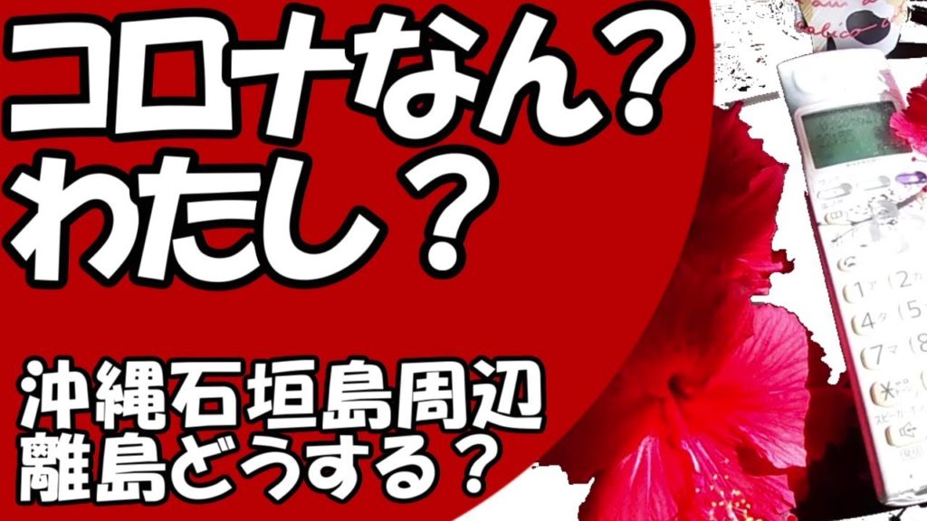 コロナかも？わたし？沖縄旅行・石垣島周辺離島観光中・もしもあなたが！・コロナコールセンターと八重山保健所・リアルインタビュー！八重山在住離島民、事業者、観光客、最重要必見内容です！特に島民見て！＃２３