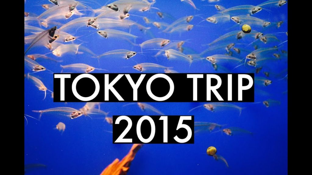 TOKYO TRIP - 40 EXPERIENCES