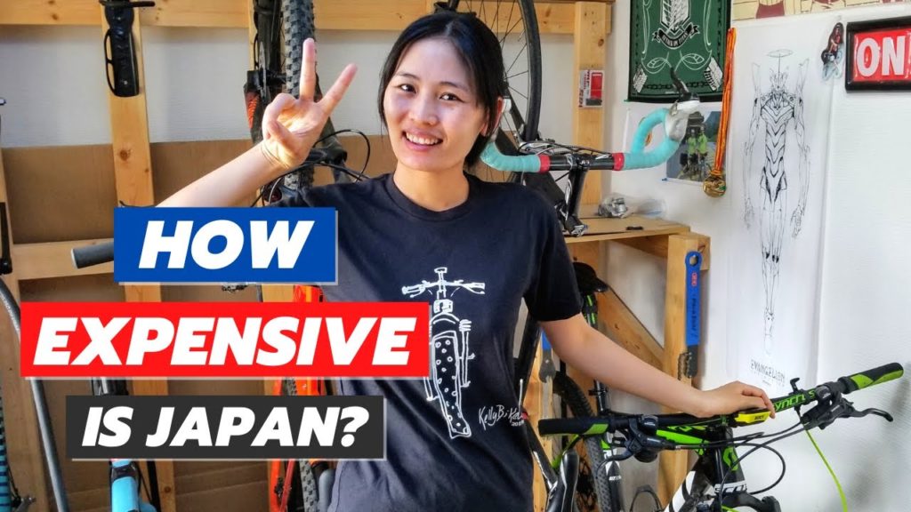 How Much Does it Cost to Live in Japan? My Expenses (Daily, Monthly, Annual)