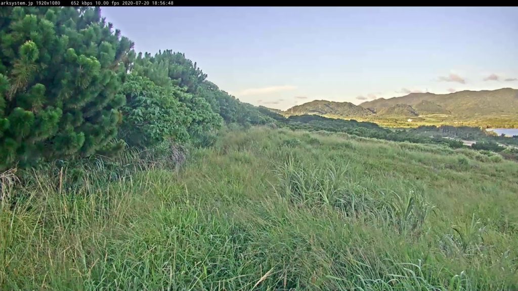 沖縄県石垣島ライブカメラ Live Camera Streaming　Okinawa Ishigaki Live Cam