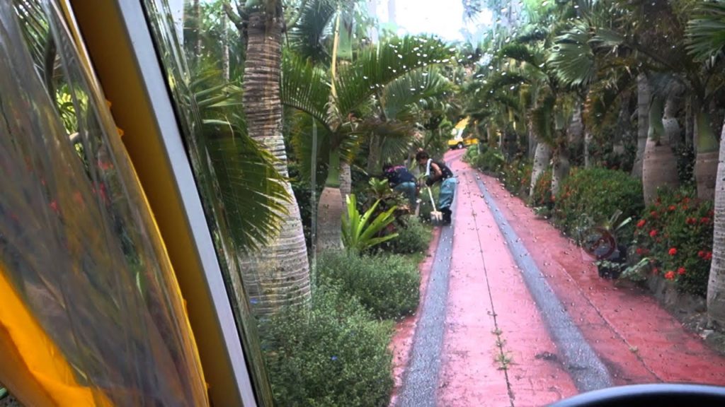 Okinawa Pineapple park