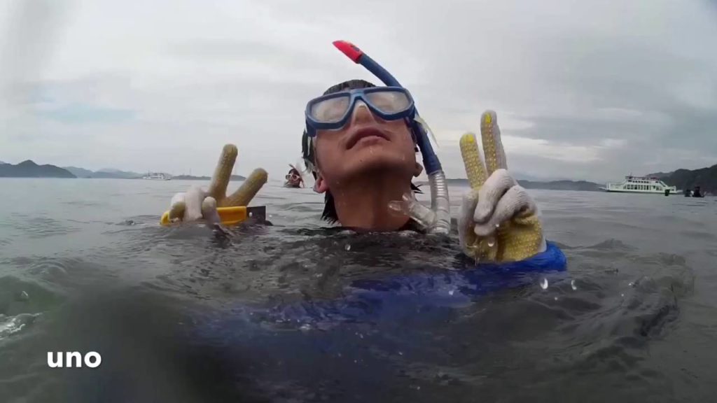 School Trip : Takehara Hiroshima Japan 2016