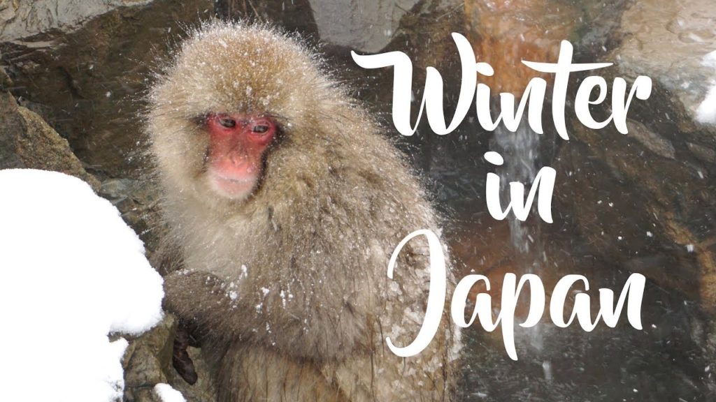 Winter Holidays in Japan