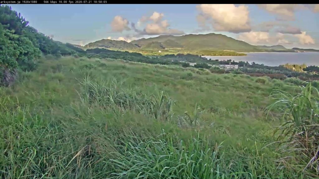 沖縄県石垣島ライブカメラ Live Camera Streaming　Okinawa Ishigaki Live Cam