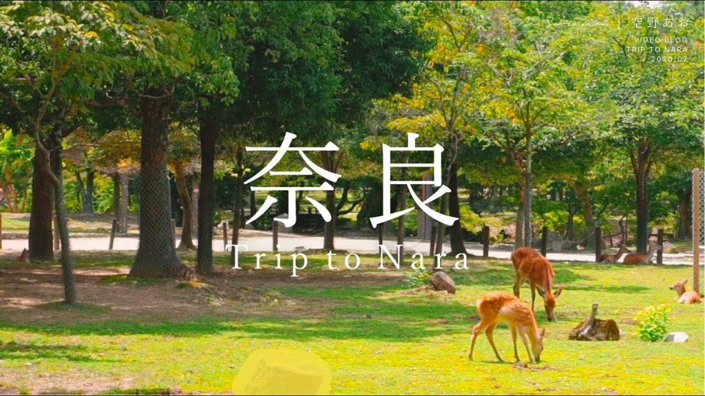 Trip to Nara｜奈良ひとり旅 🦌 🚙  (ENG/VLOG)