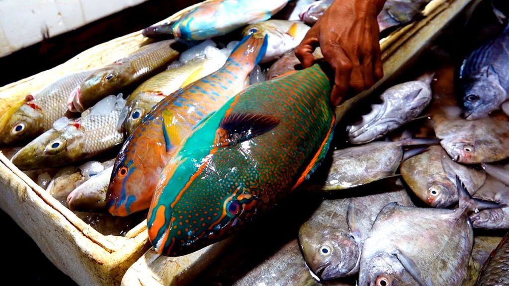 $20 Rainbow Fish and Seafoods in Jimbaran Seafood Market - Indonesian food