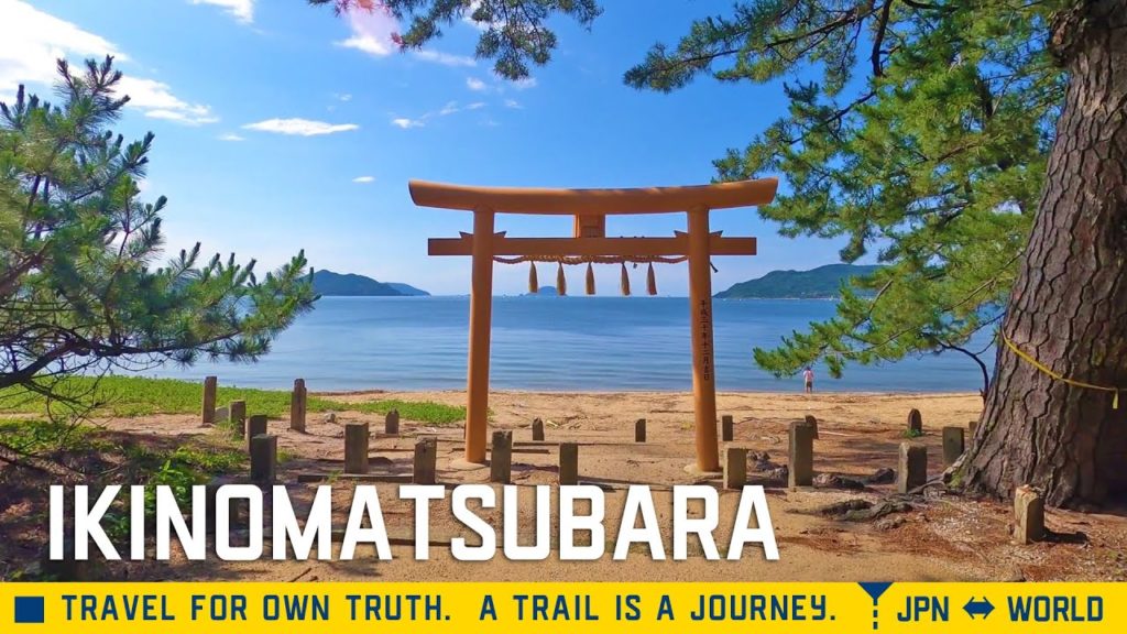 [4K]Walking along the Ikinomatsubara Beach, where the torii is located. Fukuoka, Japan.福岡の生の松原へ。